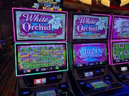 new88 bet